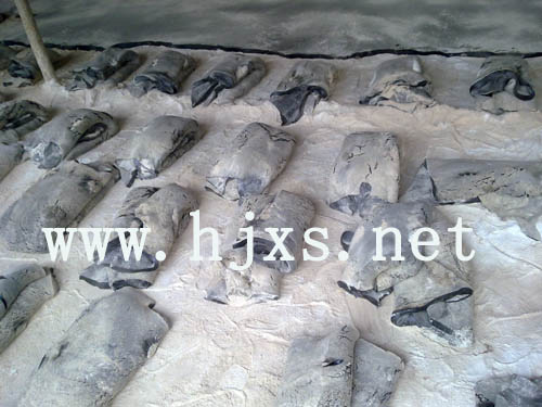 GB-SRǶ�p�z|SWǶ�p�z